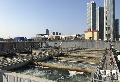 大連13座污水處理廠加大消毒劑投加量 守護城市用水安全的科學之道